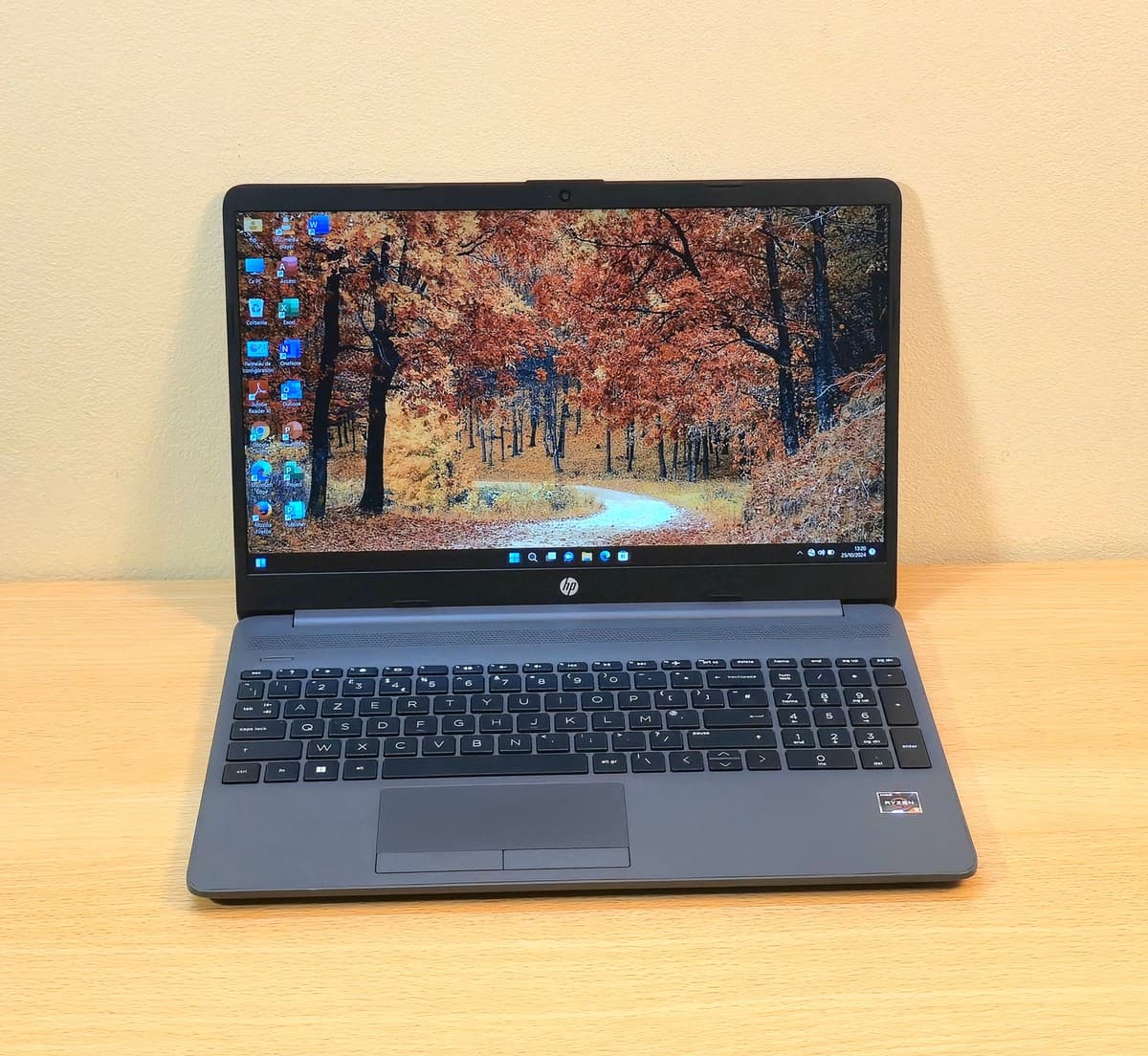HP 255 G9 (6Q8C1ES) / AMD Ryzen™ 5 5625U / SSD 512Go / RAM 8Go